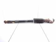 Stoßdämpfer hinten rechts