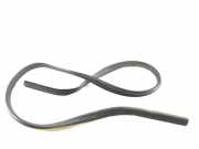 Türgummi links vorne Ford Focus IV (HN) BM51A20530