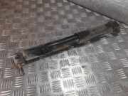 Stoßdämpfer hinten links RENAULT MEGANE II Estate (KM0/1_) 1.5 dCi