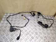 Kabel Tür Audi Q5 (8R) 8R0971029AD