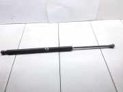 Heckklappe Gasdruckfeder rechts NISSAN PRIMERA (P12) 1.8 GS601083565