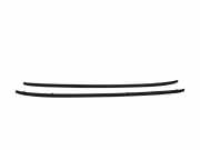 Dachreling-Set AUDI A4 Avant (8ED, B7) 2.0 TDI 16V