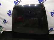 Motorhaube AUDI A6 Allroad (4FH, C6) 4.2 FSI quattro