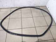 Türgummi links hinten BMW 7er (F01, F02, F03, F04) 7178029