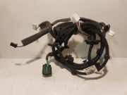 Türverkabelung hinten links RENAULT KOLEOS II 2.0 dCi 175 4WD 241273636R