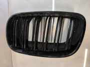 Vorderer oberer Gitter BMW X5 (E70) 4.8 i xDrive 7171395