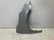 Kotflügel vorne links