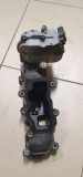 Ansaugbrücke AUDI Q7 (4L) 3.0 TDI quattro 059129712BL