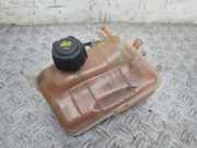 AUSGLEICHSBEHÄLTER KÜHLWASSER RENAULT SCÉNIC III (JZ0/1_) 1.4 16V (JZ0F, JZ1V) 217100005RD
