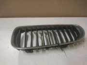 Vorderer oberer Gitter BMW 3 Touring (E91) 318 d
