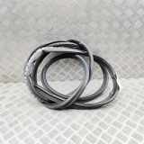 Heckklappengummi JAGUAR XK Coupe (X150) 5.0 V8 6W83-438A00-AE