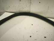 Türgummi links vorne Volvo V50 (545)