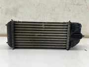 Ladeluftkühler OPEL Crossland X (P17) (P17) 1.2 (75) 9803900780