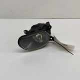 Nebelscheinwerfer links AUDI A8 D3 (4E2, 4E8) 4.2 TDI quattro 24746500L 4E0941699A