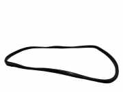 Dichtungsgummi der hinteren Tür (an der Karosserie) RENAULT MEGANE III Grandtour (KZ0/1) 1.9 dCi (KZ0J, KZ0N, KZ1S)