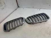 Vorderer oberer Gitter BMW X3 (F25) xDrive 20 d 7237422 7210726