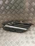 Gitter vorne unten NISSAN ALMERA TINO (V10) 2.2 dCi 9381M010