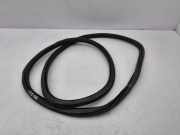 Dichtungsgummi der hinteren Tür (an der Karosserie) VW T-ROC (A11) 1.0 TSI