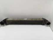 Ladeluftkühler MERCEDES-BENZ A (W169) A 180 CDI (169.007, 169.307) A1695000000