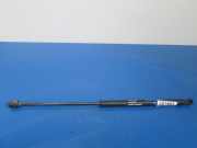 Heckklappendämpfer links Fiat Bravo II (198)