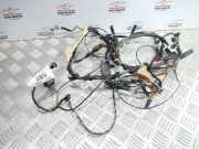 Kabelbaum Ford Kuga () 8V4T14335