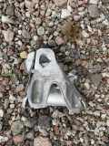Lagerung für Motor BMW X5 (F15, F85) 6864614