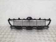 Kühlergrill unten BMW 4er Coupe (F32, F82) 8054503
