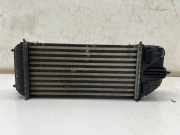 Ladeluftkühler Opel Crossland X (P17) 9803900780