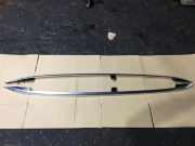 Dachreling-Set VW PASSAT B7 ALLTRACK (365) 2.0 TDI 4motion 3AF860043 3AF860044