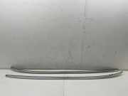 Dachreling links MERCEDES-BENZ E T-Model (S213) E 220 d 4-matic (213.205) A2138900493