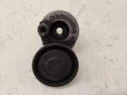 Riemenspanner RENAULT MEGANE II (BM0/1_, CM0/1_) 1.5 dCi 8200048486