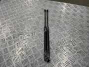 Gasfeder für Motorhaube BMW 1er (F21) 7239871