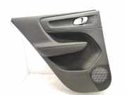 Türpolster hinten links