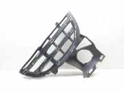 Kühlergrill unten Porsche Cayenne 2 (92A) 7P5807681B