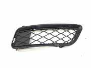 Gitter Grill vorne rechts BMW X3 (F25) xDrive 35 i 7249582