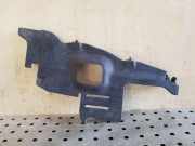 Andere Aufbauteile TOYOTA RAV 4 III (_A3_) 2.2 D 4WD (ALA30_) 5329342010