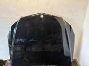 Motorhaube MERCEDES-BENZ E Coupe (C207) E 220 CDI / d (207.302)