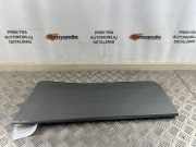 Türverkleidung links hinten Suzuki Grand Vitara II (JT, TD, TE)