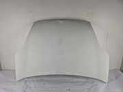 Motorabdeckung FIAT DOBLO MPV (263_) 1.3 D Multijet