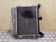 Ladeluftkühler Toyota RAV 4 II (A2) 27040332