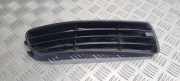 Gitter vorne unten AUDI A4 Avant (8D5, B5) S4 quattro AD99007