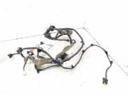Kabel der vorderen linken Tür RENAULT KOLEOS I (HY_) 2.0 dCi 4x4 (HY0K) 24125JY43A