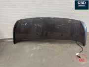 Motorhaube Toyota Proace Kasten (MDZ) SU001A4539