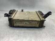 Ladeluftkühler Renault Modus - Grand Modus (P) 880590XB