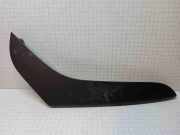 Türpolsterverkleidung hinten links VW PASSAT B7 ALLTRACK (365) 2.0 TDI 3C867371