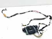 Antenne TOYOTA RAV 4 V (A5, H5) 2.5 Hybrid AWD (AXAP54) 8686242010