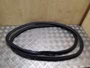 Türgummi links vorne Audi Q5 (8R)