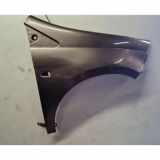 Kotflügel vorne rechts FIAT BRAVO II (198_) 1.9 D Multijet