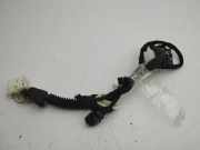 Kabel Tür Opel Antara (L07) 20980140