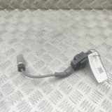 Zündspule CHEVROLET CORVETTE (C7) 6.2 12619161